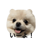 愉快な動物と輩（個別スタンプ：4）