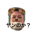 愉快な動物と輩（個別スタンプ：7）