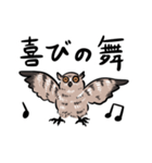 ふわもこフクロウ部（個別スタンプ：1）