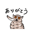 ふわもこフクロウ部（個別スタンプ：21）