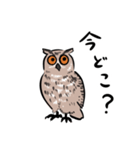 ふわもこフクロウ部（個別スタンプ：23）