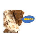 かわいい飼い犬「モカ」のスタンプ（個別スタンプ：2）