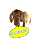 かわいい飼い犬「モカ」のスタンプ（個別スタンプ：4）