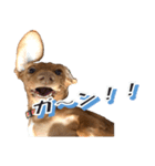 かわいい飼い犬「モカ」のスタンプ（個別スタンプ：29）