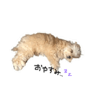 ちくわ君です。（個別スタンプ：3）