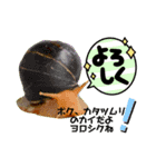 カタツムリ孫のために（個別スタンプ：1）