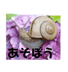 カタツムリ孫のために（個別スタンプ：5）