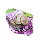 カタツムリ孫のために（個別スタンプ：7）