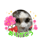 我が家の家（part12）（個別スタンプ：9）