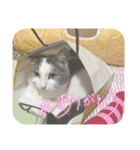 我が家の家（part12）（個別スタンプ：10）