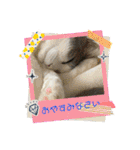 我が家の家（part12）（個別スタンプ：11）