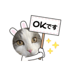 我が家の家（part12）（個別スタンプ：13）