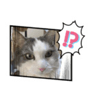 我が家の家（part12）（個別スタンプ：15）