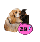 シェリ＆ジン（個別スタンプ：1）