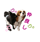 シェリ＆ジン（個別スタンプ：6）