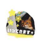 ソマリのロック★スタンプpart3（個別スタンプ：12）