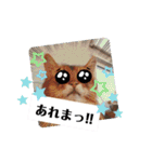 ソマリのロック★スタンプpart3（個別スタンプ：21）