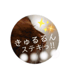 ソマリのロック★スタンプpart3（個別スタンプ：23）
