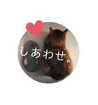 ソマリのロック★スタンプpart3（個別スタンプ：32）