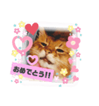 ソマリのロック★スタンプpart3（個別スタンプ：35）