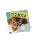 ソマリのロック★スタンプpart3（個別スタンプ：40）