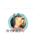 スタンプの神からの贈り物（個別スタンプ：19）