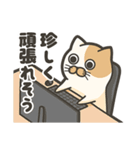 働け！WEB業界猫（個別スタンプ：4）