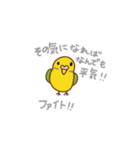 インコの会話、日常スタンプ（個別スタンプ：1）