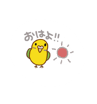 インコの会話、日常スタンプ（個別スタンプ：4）