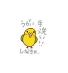 インコの会話、日常スタンプ（個別スタンプ：19）