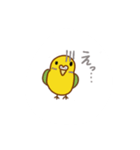 インコの会話、日常スタンプ（個別スタンプ：32）