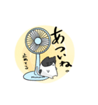 うちの猫、意外と人間。（個別スタンプ：8）