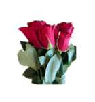 赤いバラ スタンプ（個別スタンプ：21）