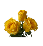 黄色いバラ スタンプ 1（個別スタンプ：15）