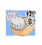 猫笑 ～猫で日常①～（個別スタンプ：1）