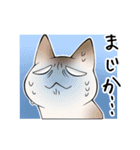 猫笑 ～猫で日常①～（個別スタンプ：7）