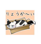 猫笑 ～猫で日常①～（個別スタンプ：9）