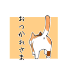 猫笑 ～猫で日常①～（個別スタンプ：11）