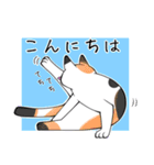 猫笑 ～猫で日常②～（個別スタンプ：10）