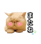 フイのまんまるゆるゆるライフ（個別スタンプ：9）