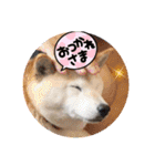 みんなと一緒21（個別スタンプ：7）