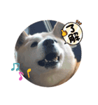 みんなと一緒21（個別スタンプ：8）