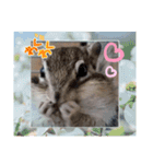 みんなと一緒21（個別スタンプ：12）