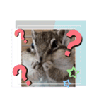 みんなと一緒21（個別スタンプ：14）