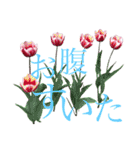 八重桜と赤い牡丹と春の花（個別スタンプ：10）