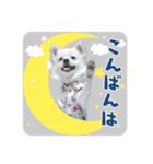 ゆかいななかまたち！vol.1（個別スタンプ：8）