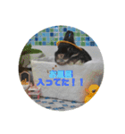 ゆかいななかまたち！vol.1（個別スタンプ：13）