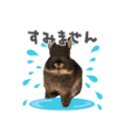 ゆかいななかまたち！vol.1（個別スタンプ：14）