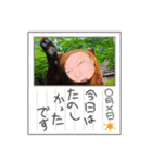 Jayer 5（個別スタンプ：3）