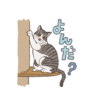 あずきとちゃちゃ（個別スタンプ：19）